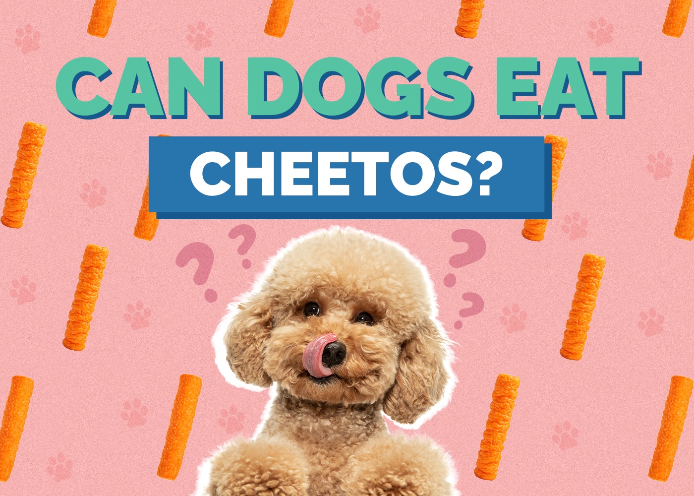 Can Dog Eat cheetos