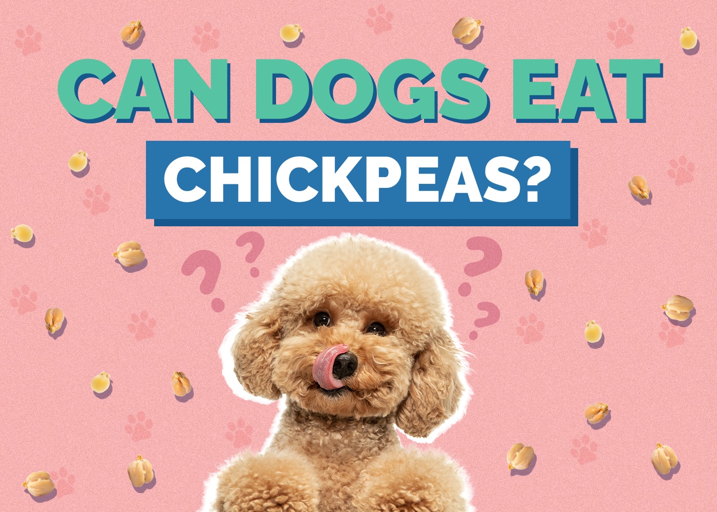 Can Dog Eat chickpeas