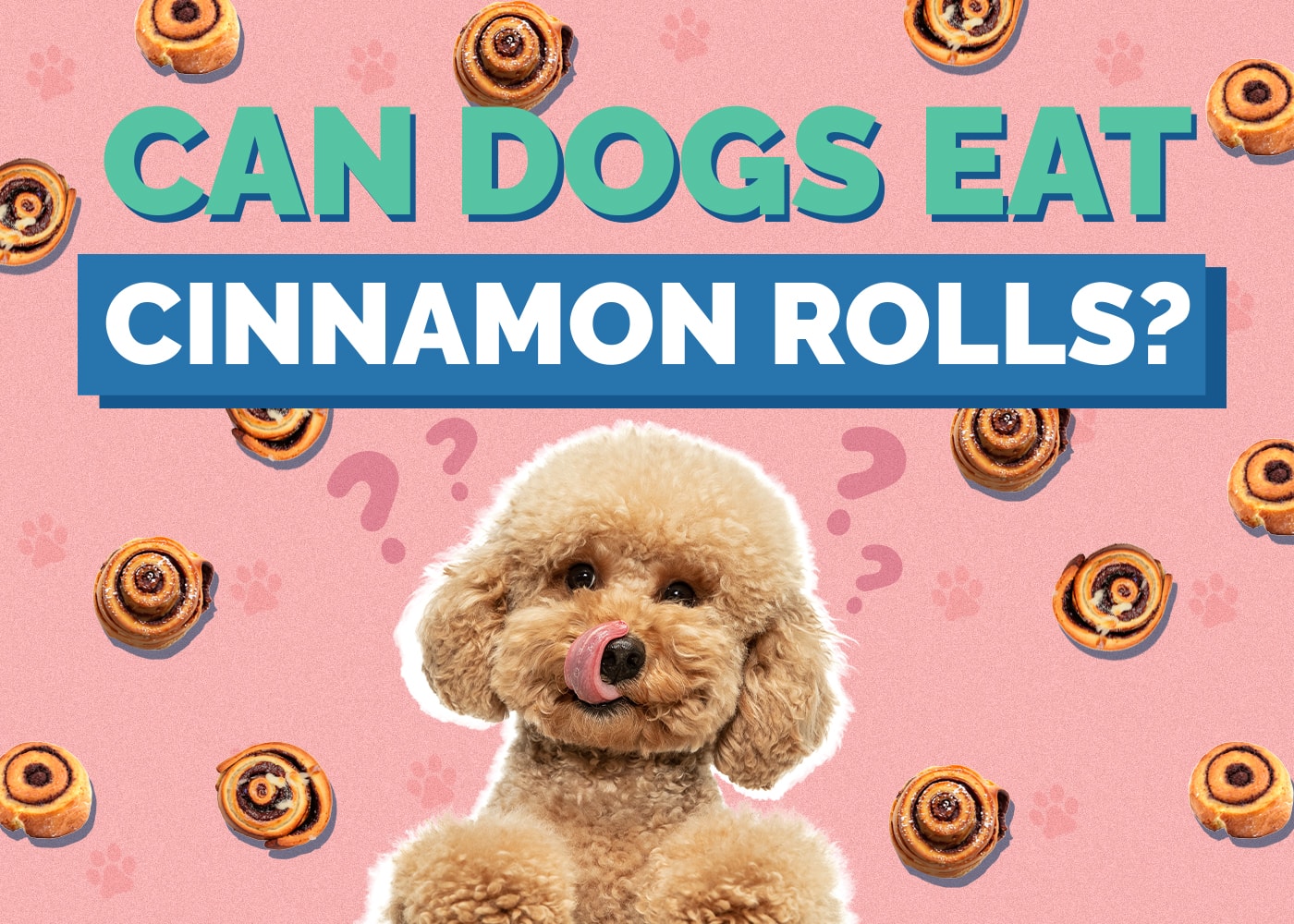 Can Dog Eat cinnamon-rolls