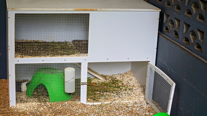 guinea pig cage