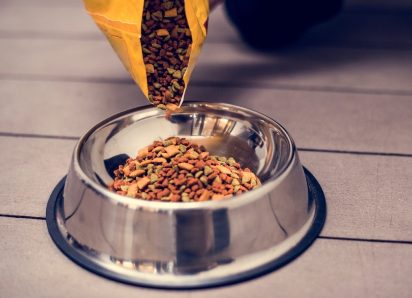 pouring pet food in a bowl