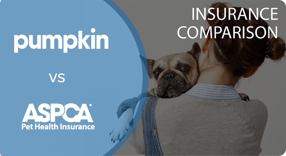 pumpkin vs aspca