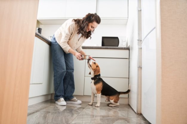 Image showcasing How to Correct Food Aggression in Dogs: 9 Vet-Approved Tips | Hepper ...