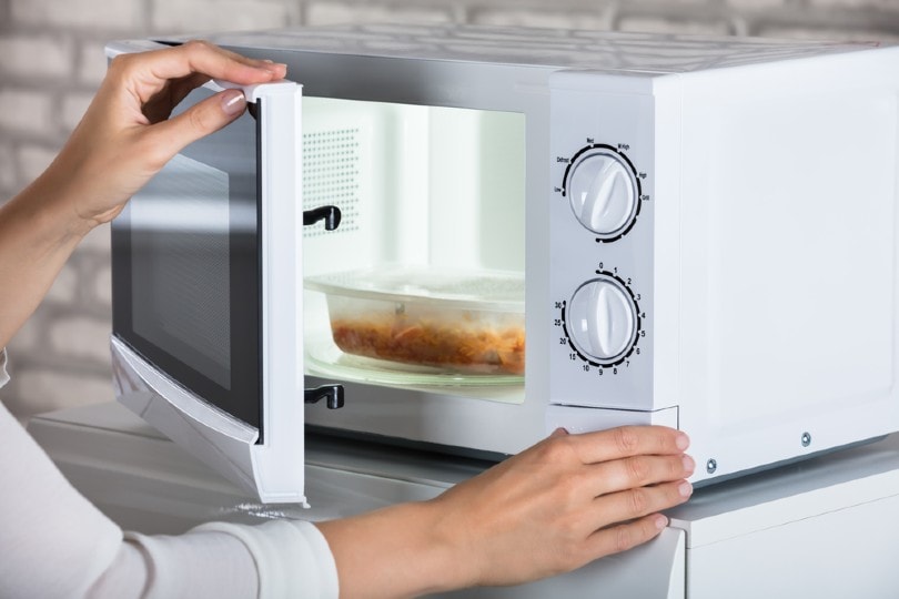 woman heating food in the microwave