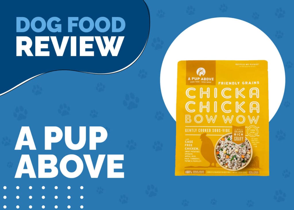 A PUP ABOVE REVIEW