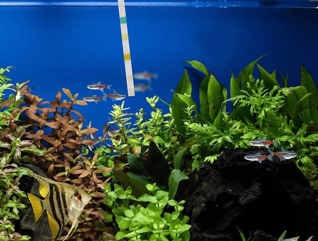 API Freshwater & Saltwater Aquarium Test Strips