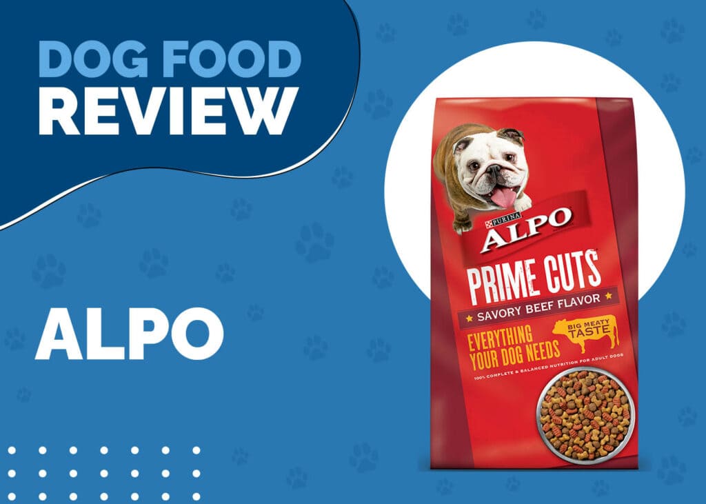 Alpo Dog Food Review