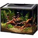 Aqueon Ascent Frameless Aquarium