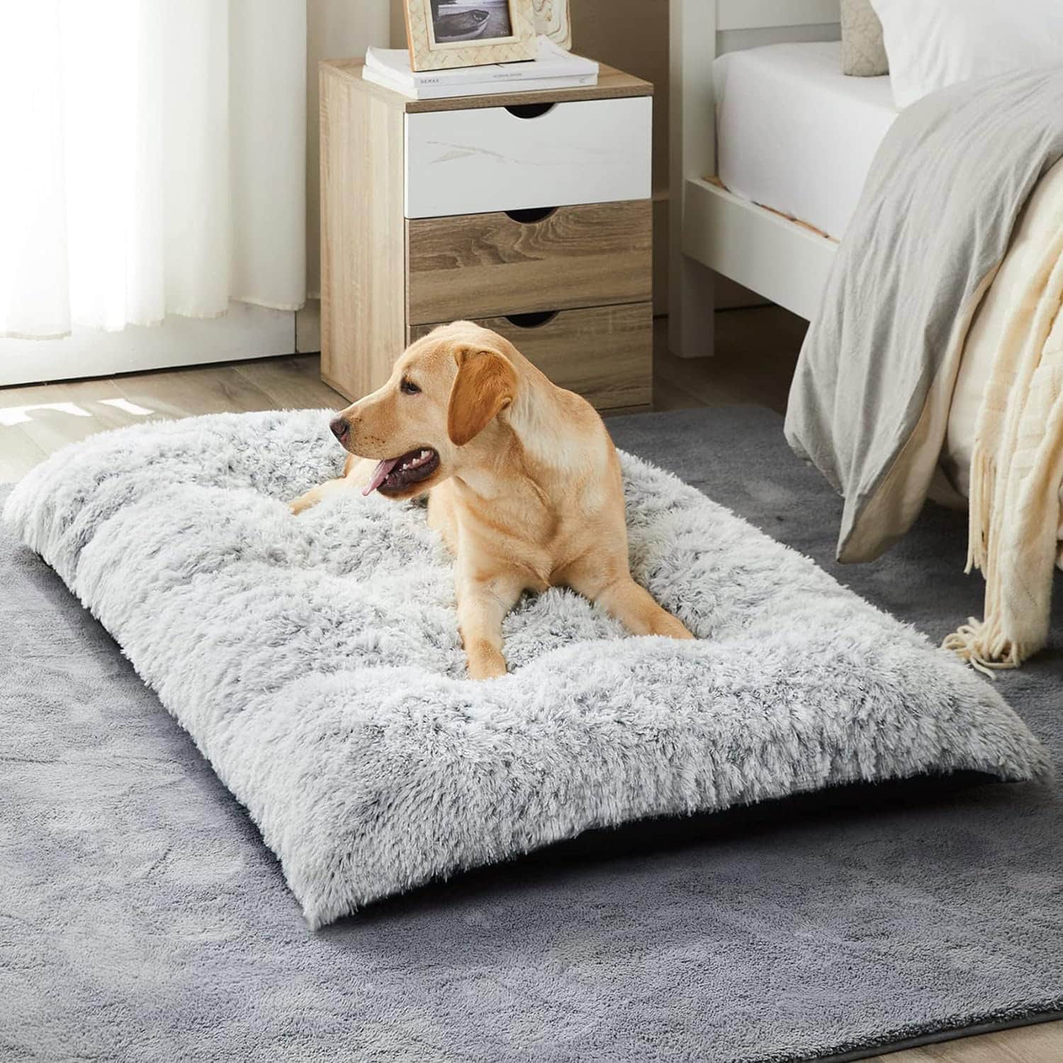 BFPETHOME Dog Bed for Large Dogs