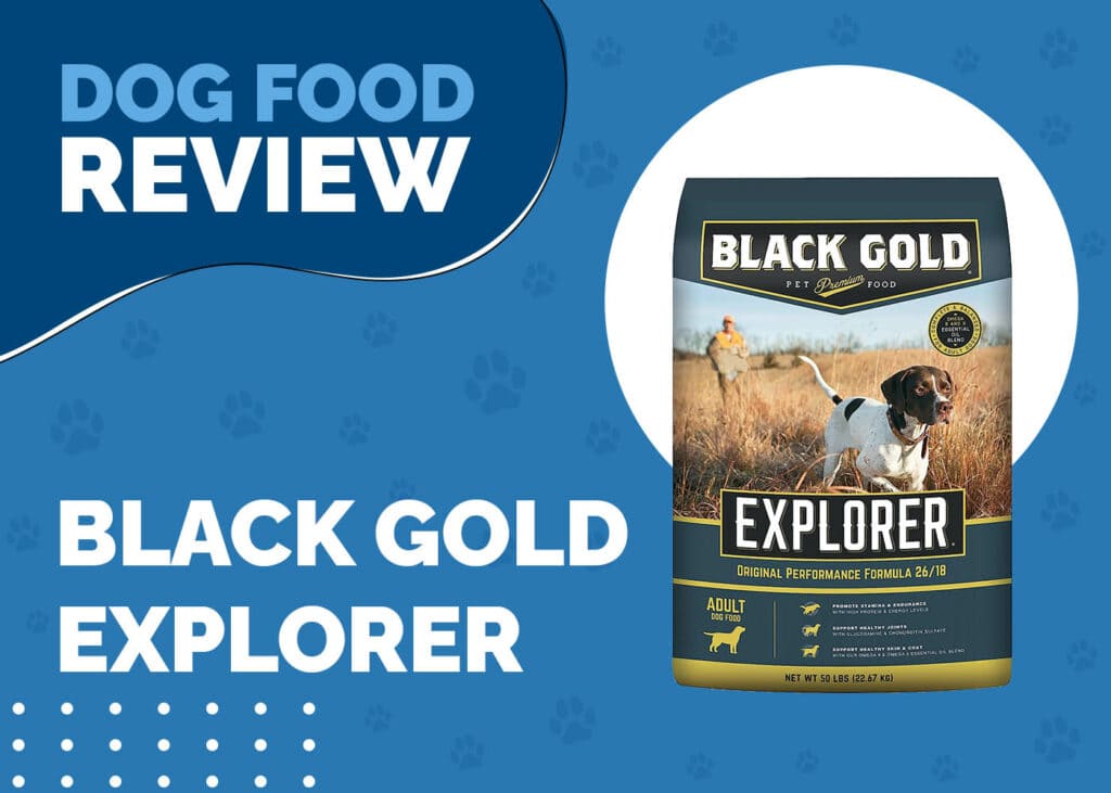 Black Gold Explorer