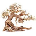 Bonsai Driftwood Aquarium Tree