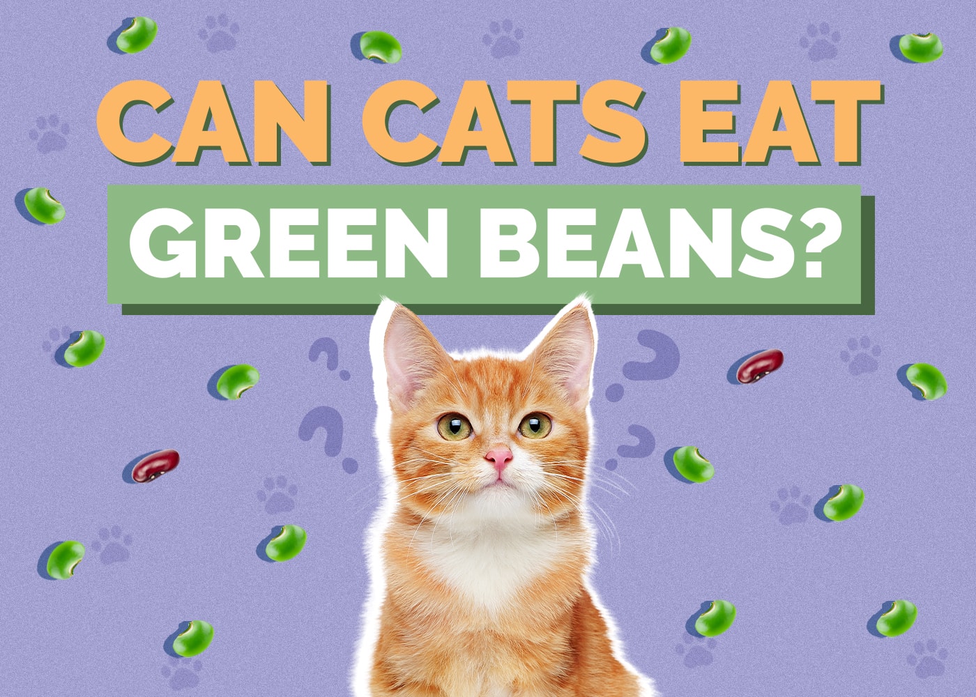 Can Cats Eat Green Beans