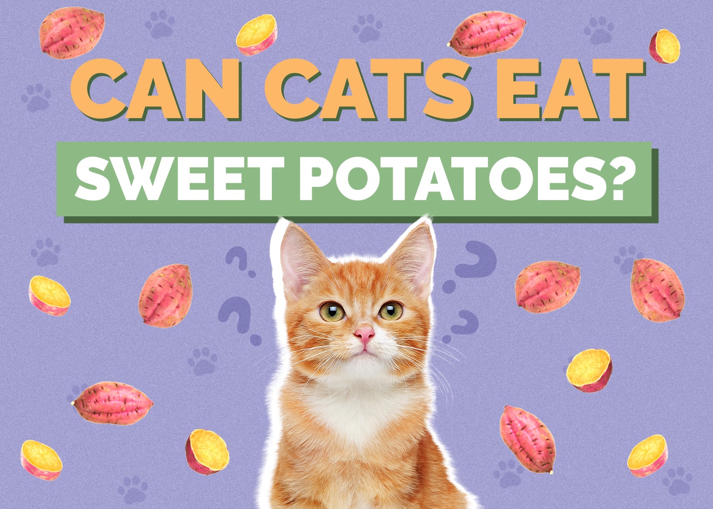 Can Cats Eat Sweet Potatoes