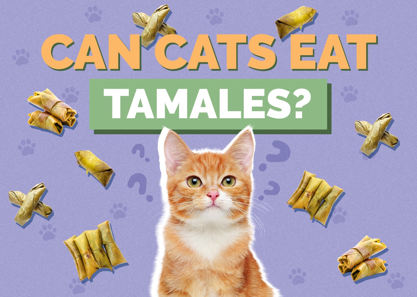 Can Cats Eat Tamales