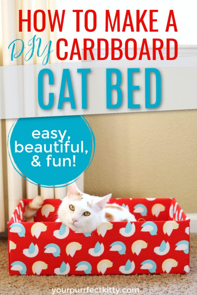 Cardboard Box Cat Bed by Your Purrfect Kitty