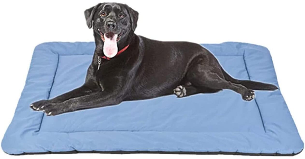 Cheerhunting Outdoor Dog Bed