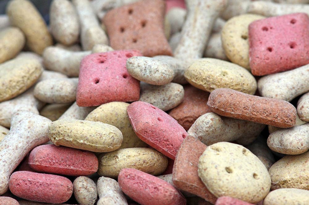 Colorful Dog Food