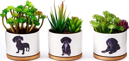 Dachshund Planter Set