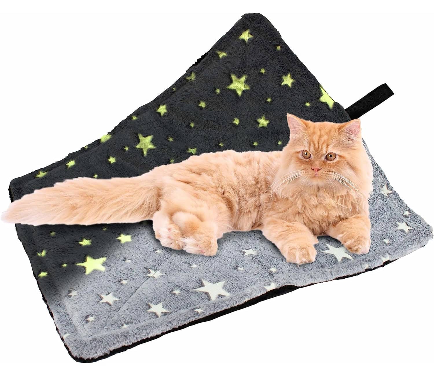 Downtown Pet Supply Thermal Cat Bed Glow In The Dark