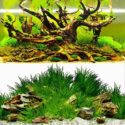 ELEBOX Fish Tank River Bed & Lake Background