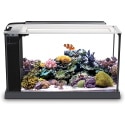 Fluval 10528A1 Evo 