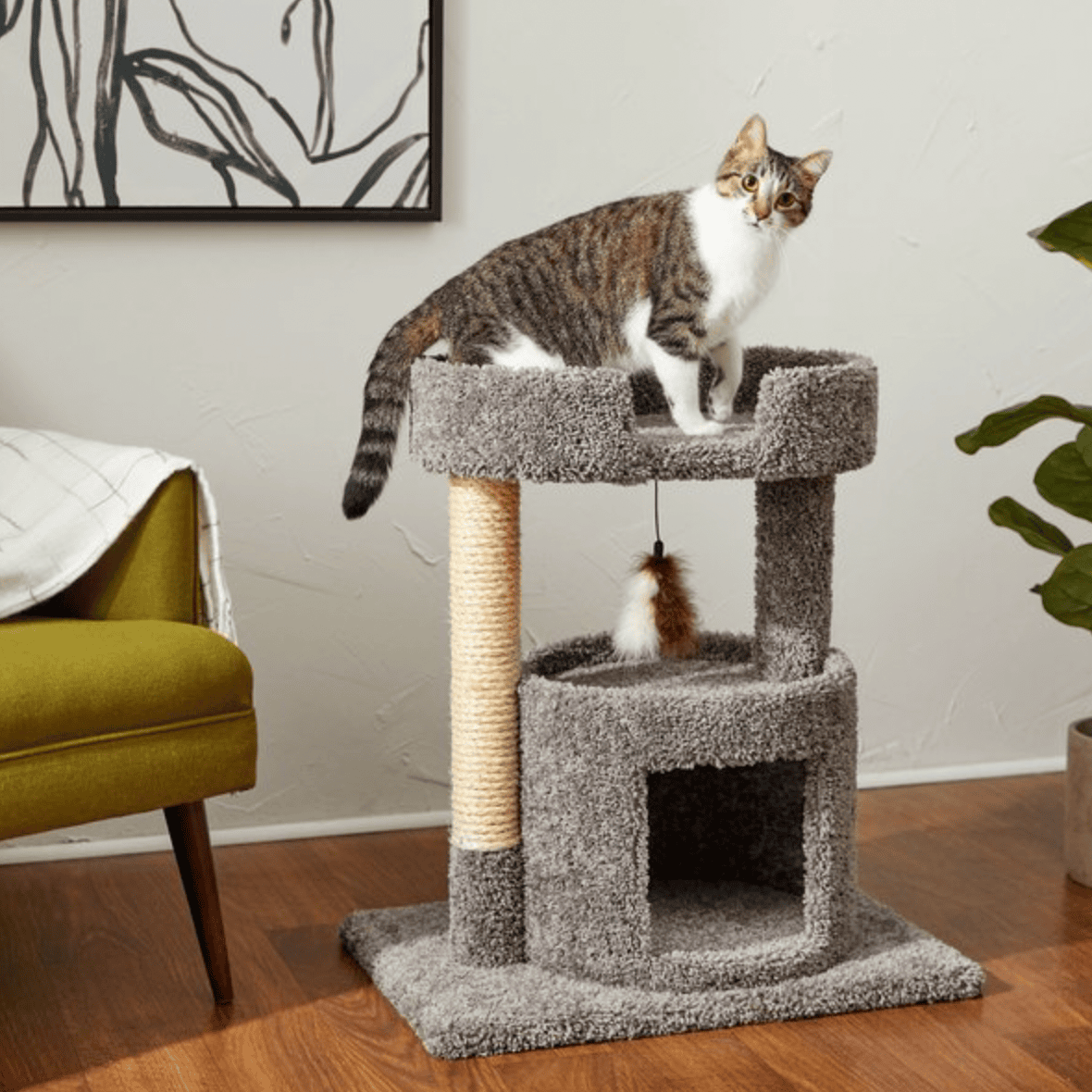 Frisco 27-in Real Carpet Cat Tree with Condo and Oval Perch