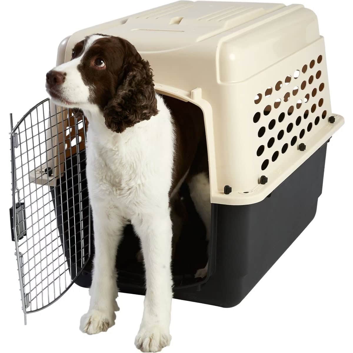 Frisco Plastic Dog & Cat Kennel
