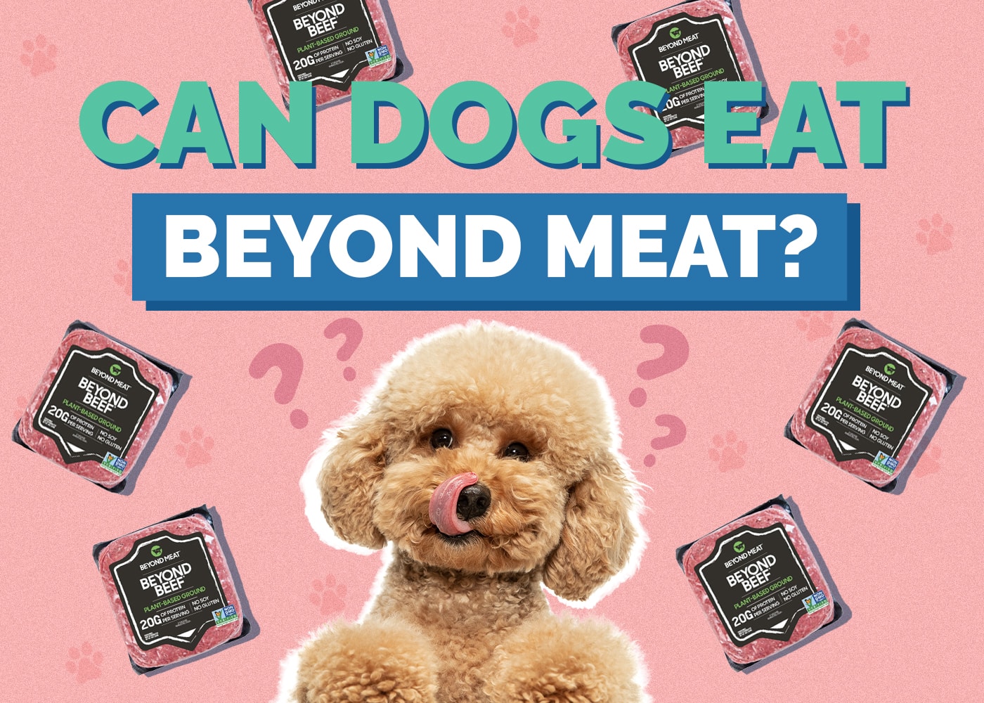 Can Dogs Eat Beyond Meat
