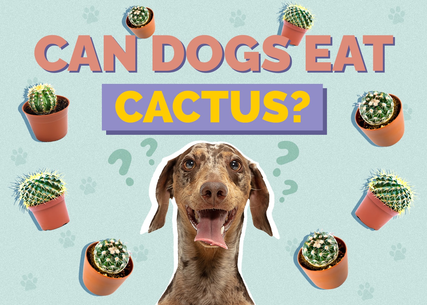 Can Dogs Eat Cactus