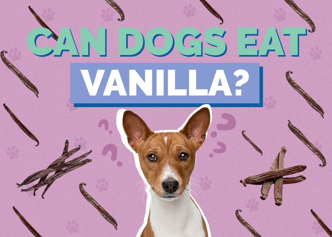 Can Dogs Eat Vanilla