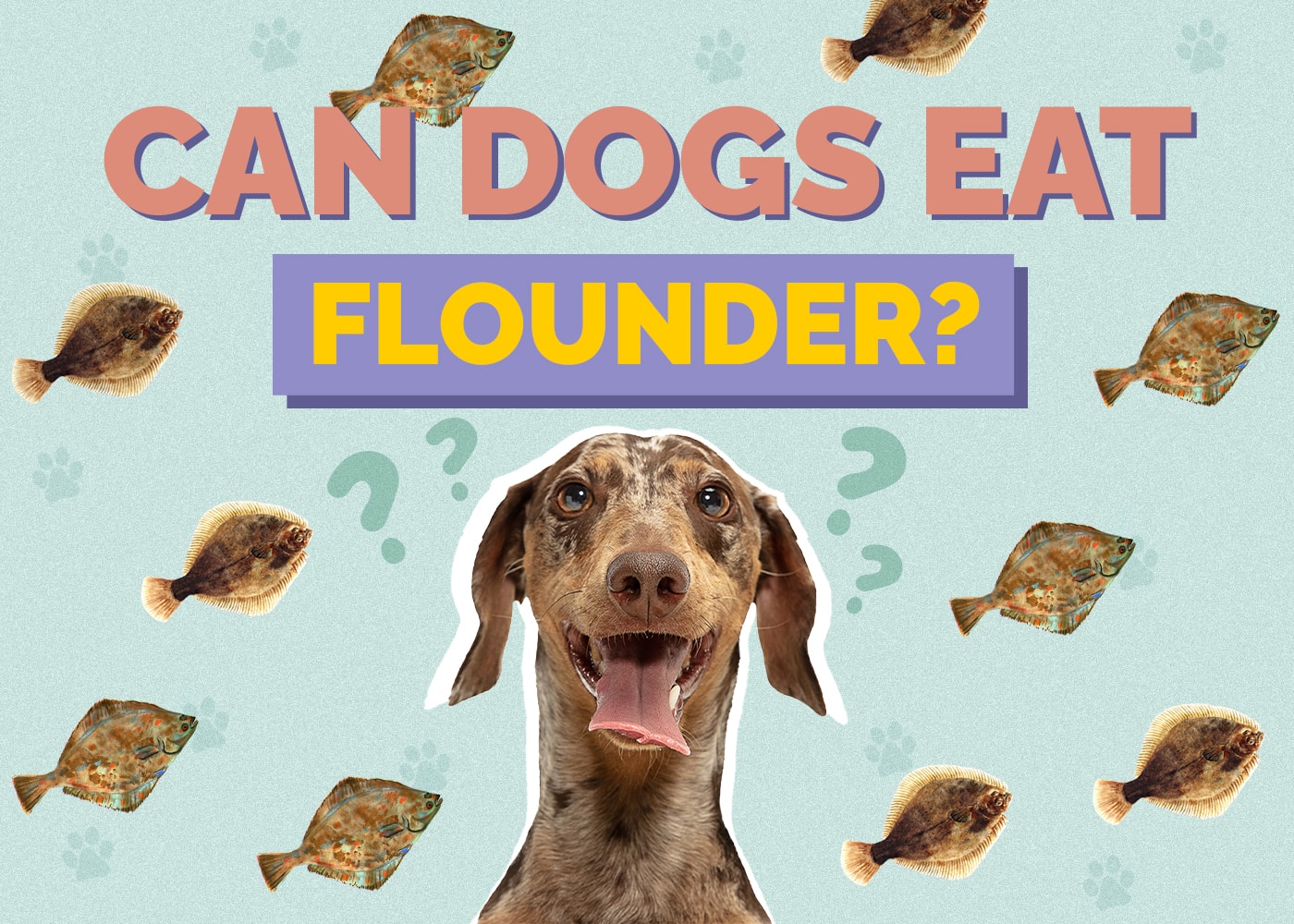 Can Dogs Eat Flounder