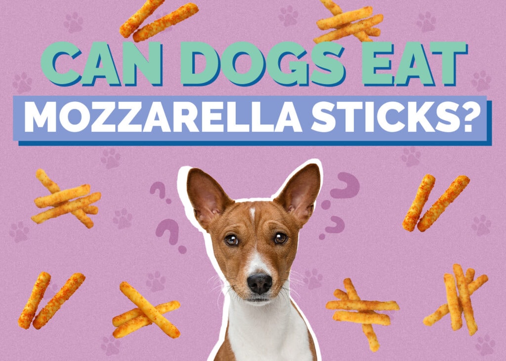 Can Dogs Eat Mozzarella Sticks