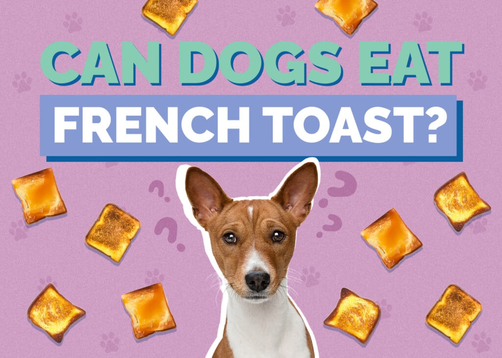 Can Dogs Eat French Toast