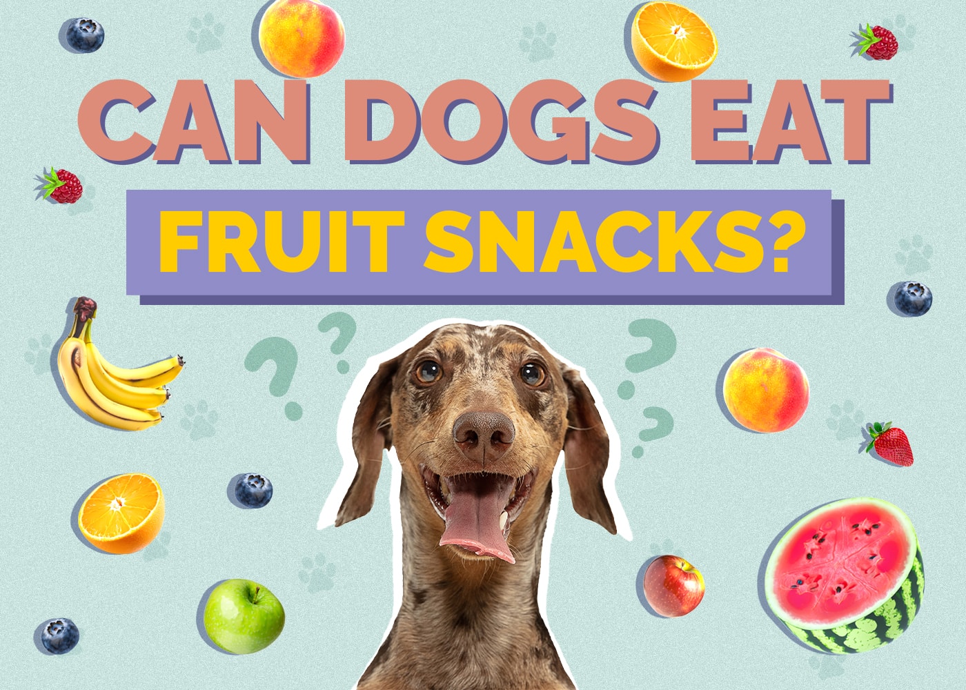 Can Dogs Eat Fruit Snacks