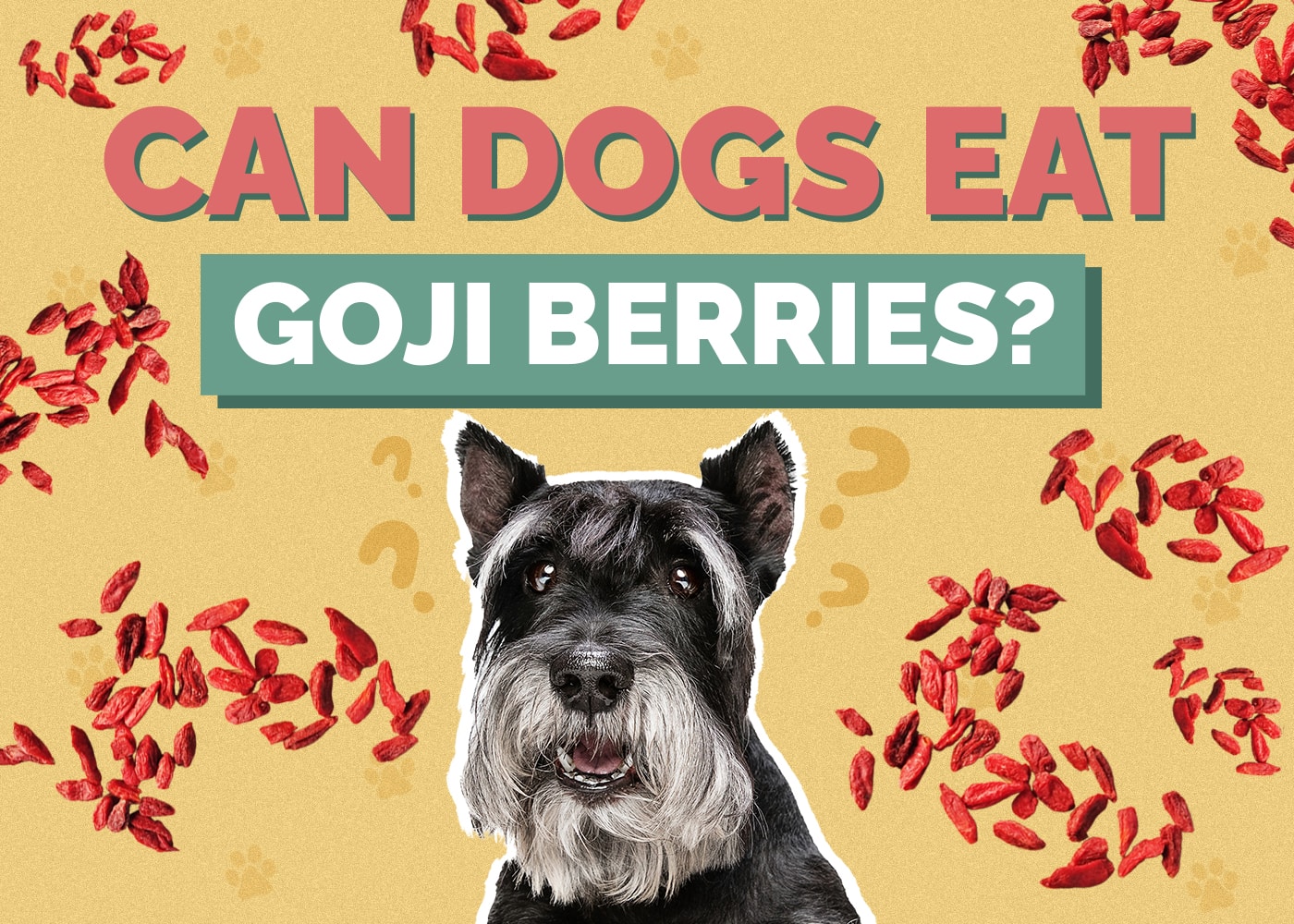 Can Dogs Eat Goji Berries