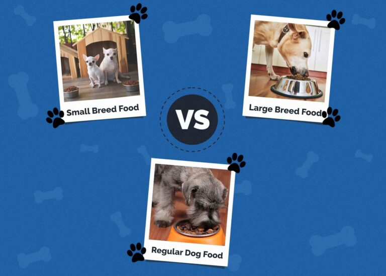 Picture of Small Breed vs Large Breed vs Regular Dog Food: Vet-Verified Facts ...