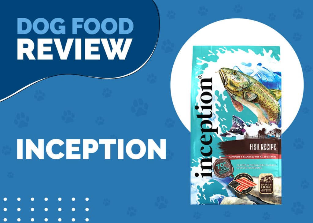 Inception Dog Food Review