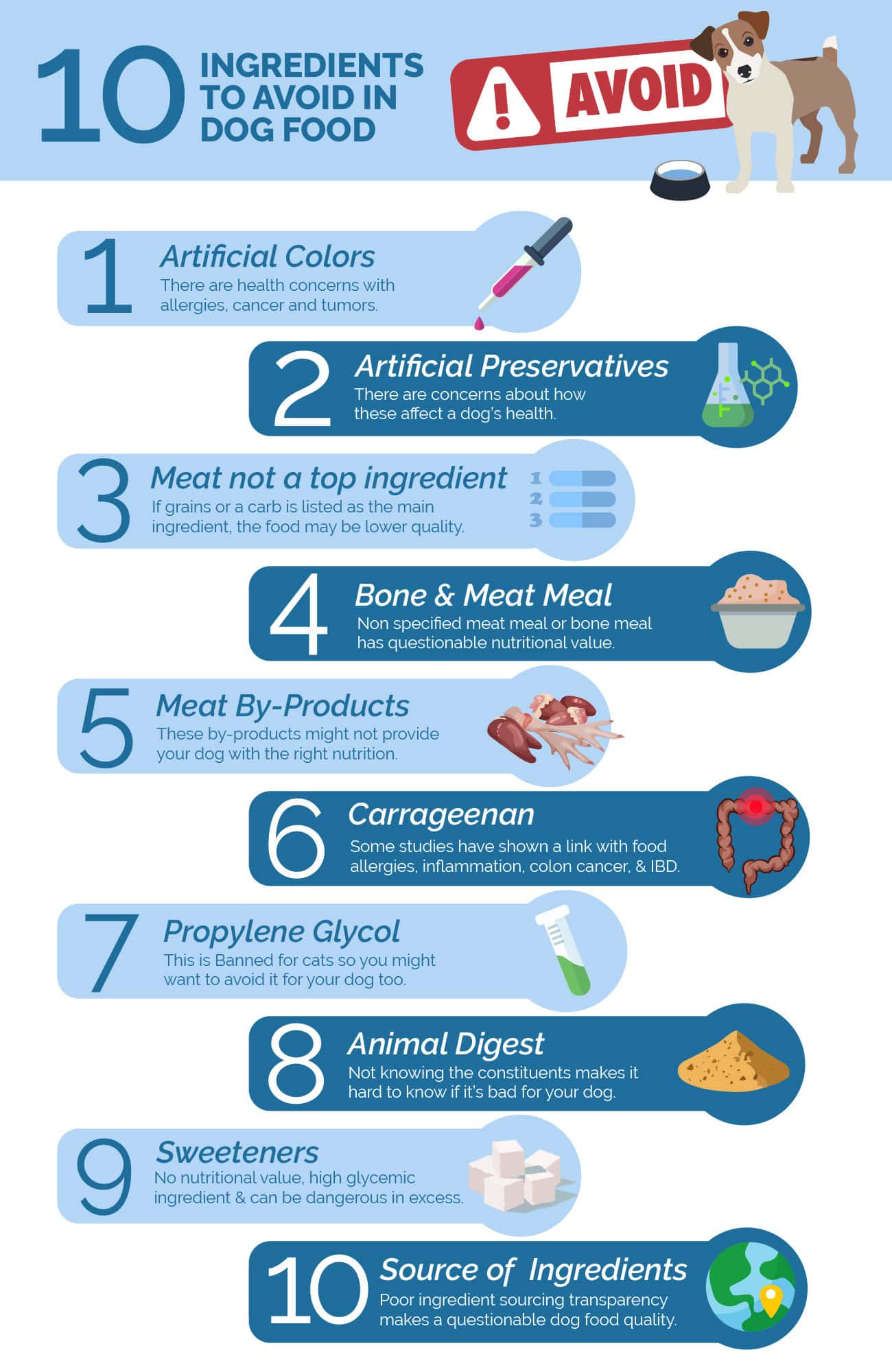 Ingredients to avoid in dog food