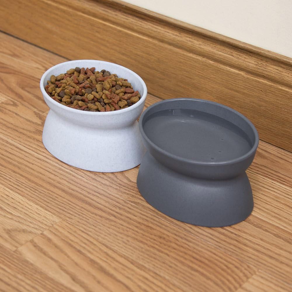 Kitty City Raised Cat Food Bowl 