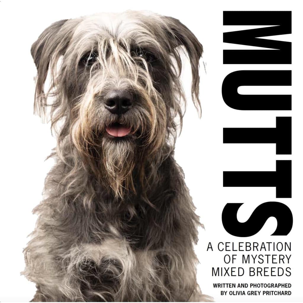 12 Best Books About Dogs - 2026 Reviews & Top Picks | Hepper Pet Resources