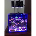 Marine LED light coral SPS LPS grow mini nano aquarium