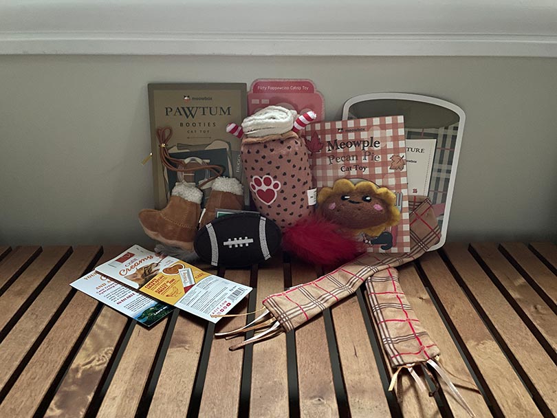 meowbox contents
