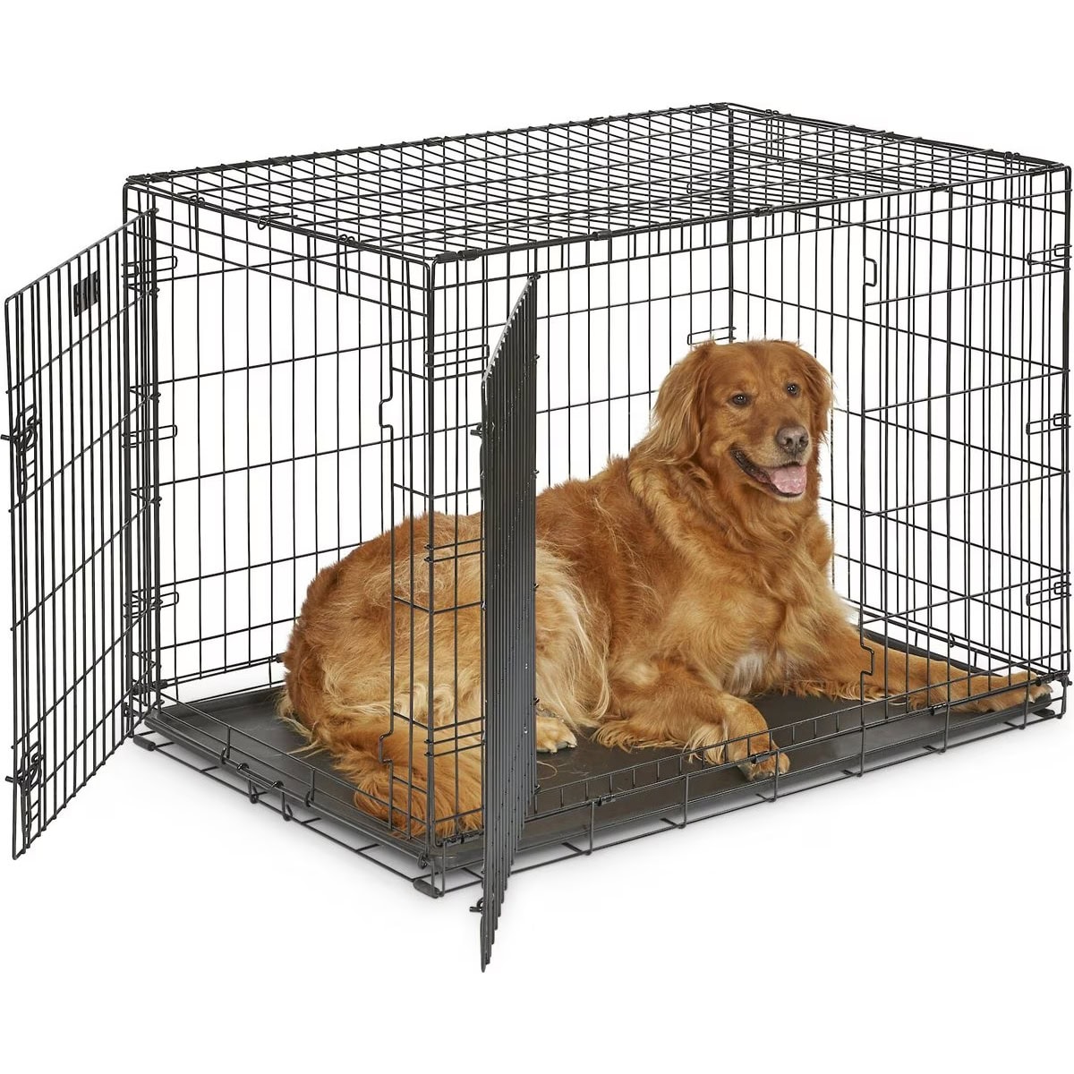 MidWest iCrate Fold and Carry Wire Dog Crate
