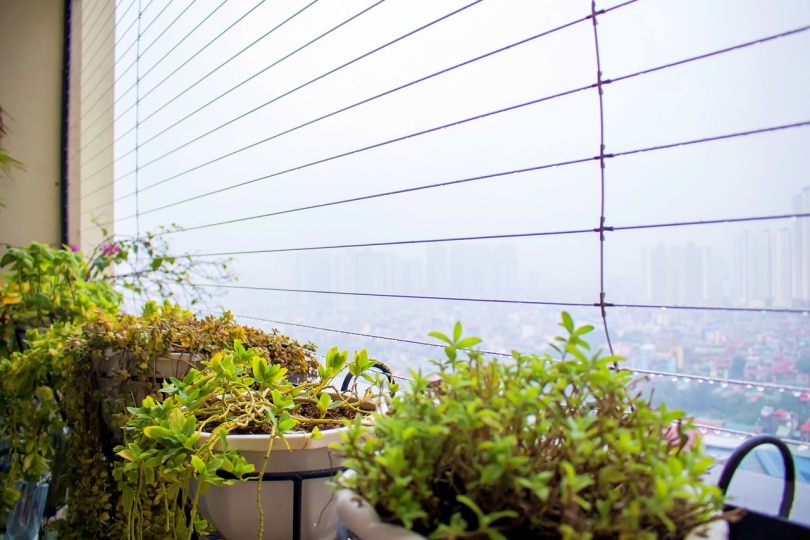 Netting on balcony