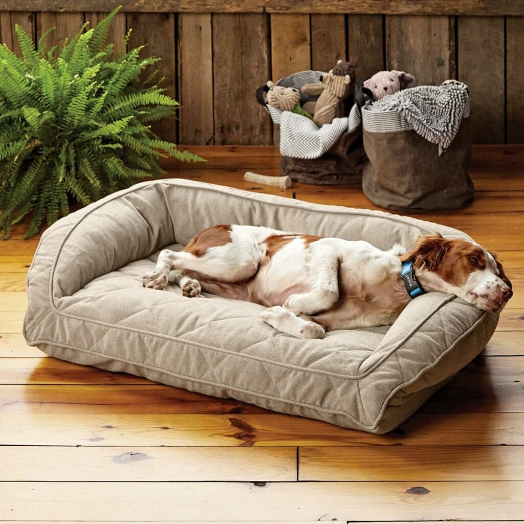 7 Best Eco-Friendly Dog Beds - 2026 Reviews & Top Picks | Hepper Pet ...