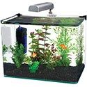 Penn Plax Curved Corner Glass Aquarium