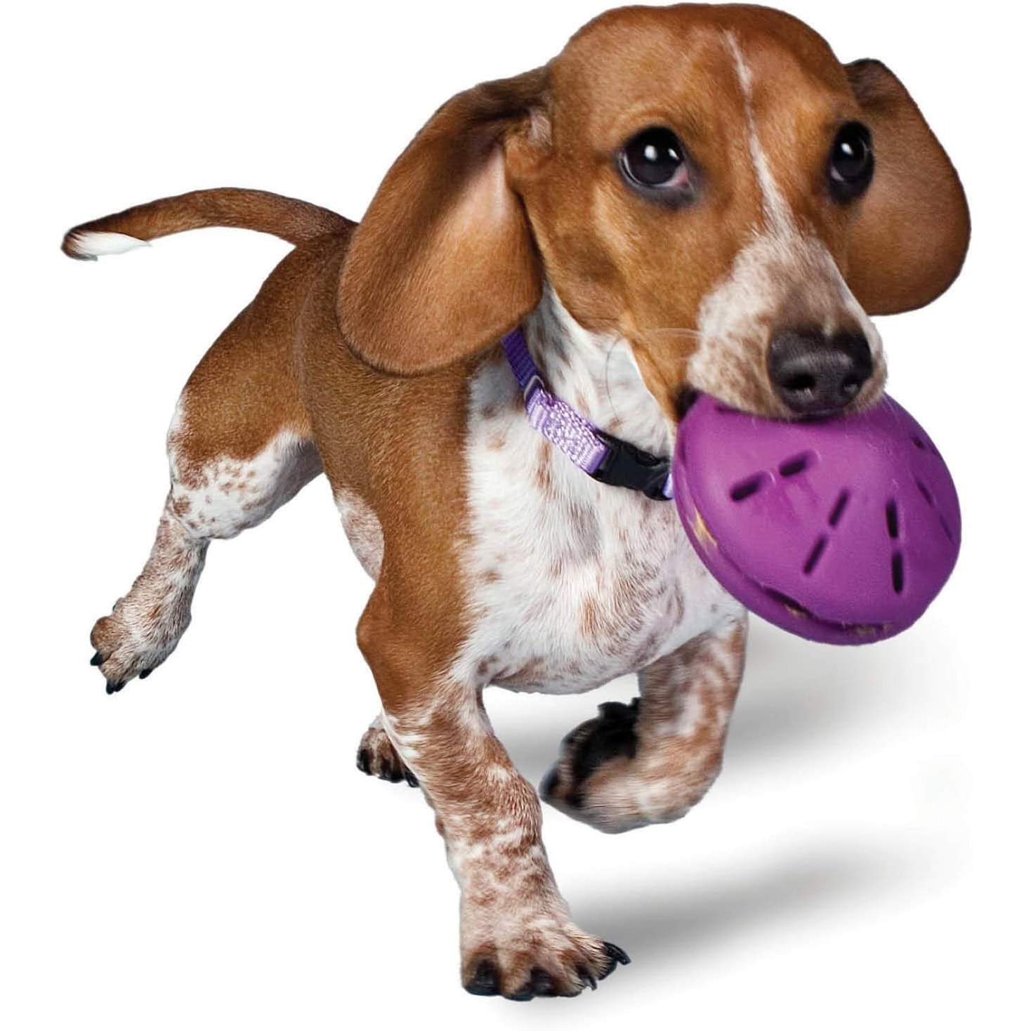 PetSafe Busy Buddy Twist ‘n Treat Dispensing Dog Toy