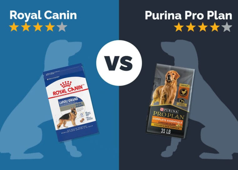 Purina One Vs Purina Pro Plan Vs Royal Canin All For Pet Owners