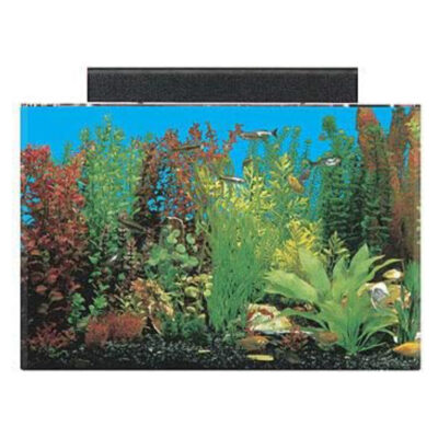 SeaClear Acrylic Aquarium Combo Set