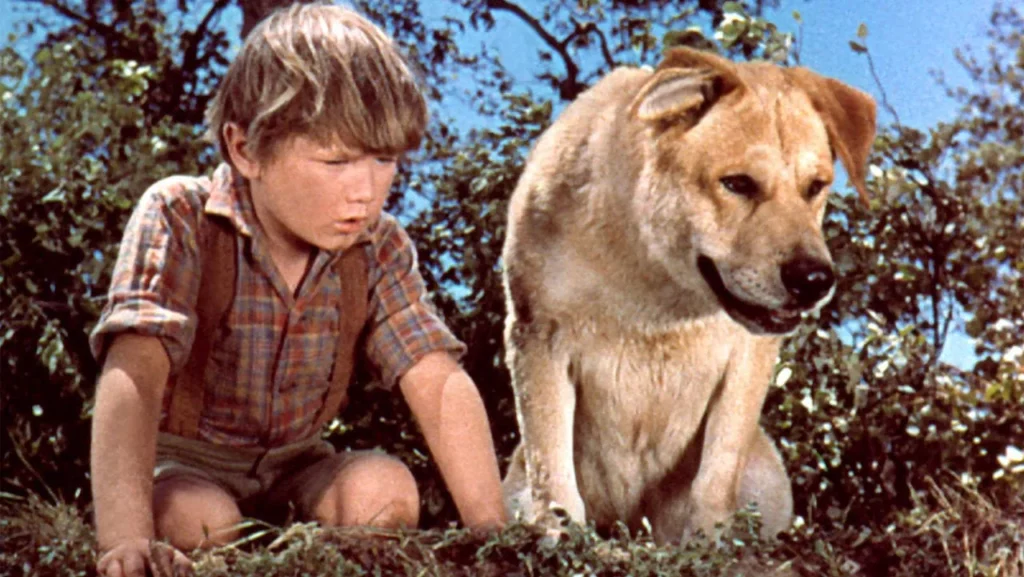 Still-from-Old-Yeller-The-Walt-Disney-Company